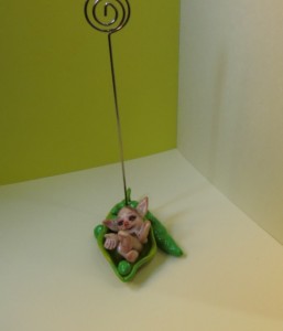CIMG0429