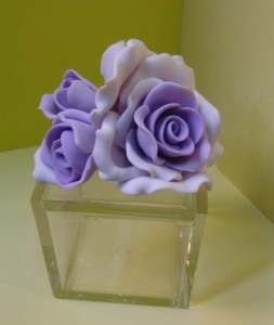 CIMG0442