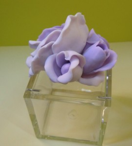 CIMG0444