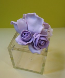 CIMG0445