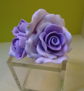 CIMG0446