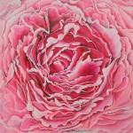 L'intensitàdellapassione10