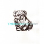 caninocopyright1 caninocopyright1