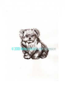 caninocopyright1