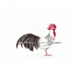 Rooster