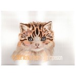 gattinomusocopyright1