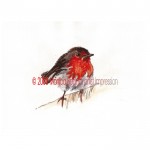 Robin