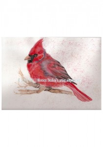 cardinalecopyright1