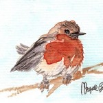 Aceo original watercolor Robin