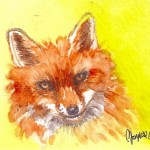 Aceo acquerello originale